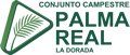 ccpalmareal.designtes.com